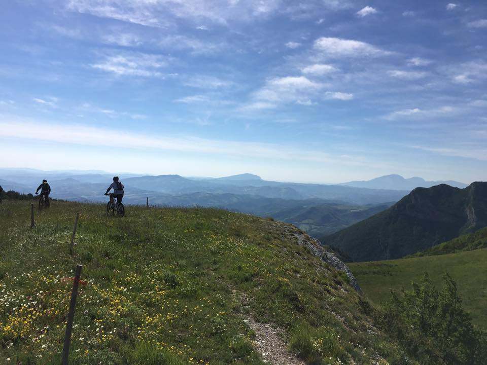 Stacks Image 87
